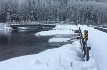 Guided Snowmobile Tours 