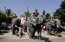 Private day tour Sidi Bousaid, Carthage and Hammamet departing from sousse