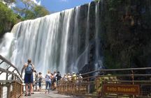 Iguazu Falls from Buenos Aires Cruise Terminal or Downtown Hotel - no flights
