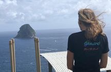 Martinique Shore Excursion - Authentic Tour of Southern Martinique