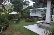 Trinidad Nature & Hummingbird Experience