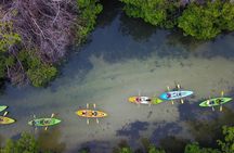 Puerto Rico Bio Bay Kayak Adventure Tour