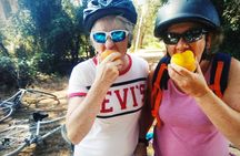 From Sitges: Wine and Bike Tour with hotel pick up.