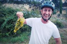 From Sitges: Wine and Bike Tour with hotel pick up.