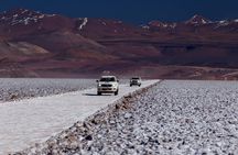 TRANSPUNA Trek