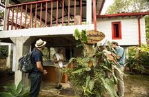 Traditional Coffee Farm Experience at Hacienda Coloma from Bogotá