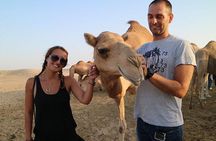 Liwa Overnight Desert Safari with Hot BBQ Dinner Private Tent & Breakfast 