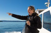 Whale Watching from Friday Harbor