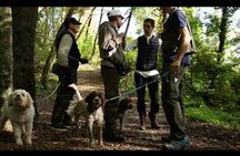 Mushroom or Truffle Hunting