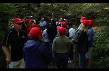 Mushroom or Truffle Hunting