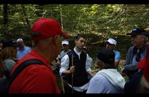 Mushroom or Truffle Hunting