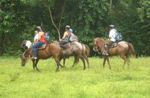 Horseback to La Fortuna Waterfall From Arenal