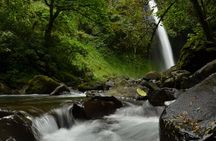 Horseback to La Fortuna Waterfall From Arenal