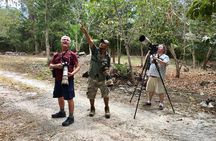 Mahahual and Costa Maya Birdwatching 