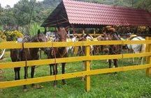Horseback Riding Jaco