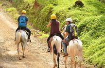 Horseback Riding Jaco