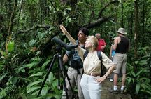 Birding Watching tour from San José