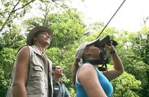 Birding Watching tour from San José
