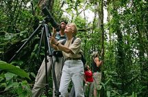 Birding Watching tour from San José