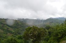 Paramin Mountains Jeep Tour