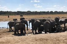 Five-Day Hwange NP, Chobe NP and Victoria Falls Combo