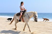 Cabo Desert ATV & Beach Horseback Combo