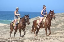 Cabo Desert ATV & Beach Horseback Combo