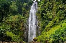 Private Materuni Waterfall & Coffee Tour. 