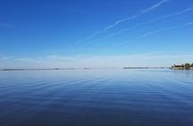 Guided Two Hour Boat Tour of the Indian River Lagoon