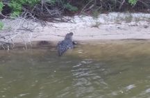 Guided Two Hour Boat Tour of the Indian River Lagoon