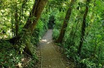 Monteverde Cloud Forest Reserve Guided Walk