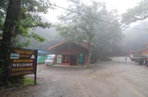Monteverde Cloud Forest Reserve Guided Walk