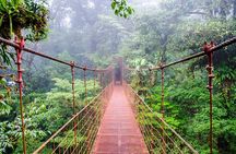 Monteverde Cloud Forest Reserve Guided Walk