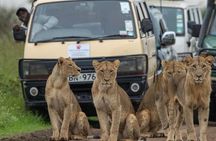 3 Days 2 Nights Masai Mara Joining Safari From Nairobi