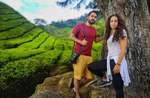 Cameron Highland Best Tour from Kuala Lumpur( Day Trip)
