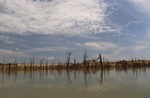 Live among swimming elephants and indigenous tribes – Gal Oya National Park