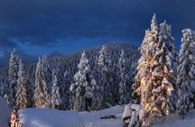 Winter Fun at North Shore Mountains- Grouse, Seymour & Cypress 