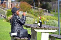 Private Cape of Good Hope and Penguins Tour with Luxury Mercedes or BMW Vehicle