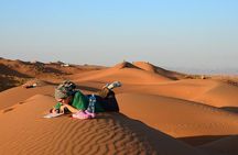 Wahiba Sands&Wadi Bani Khalid desert Safari(Muscat tours) : Tours