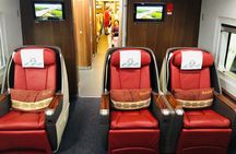 Private Day Trip to Terracotta Army from Beijing by Bullet Train