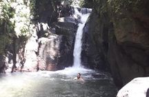 Martinique North Island Private Tour