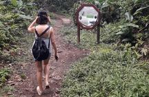 Martinique North Island Private Tour