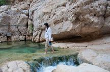 Wadi Shab full day tour