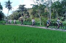 Bali Countryside Cycling Adventure