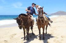 Cabo White Sand Horseback Riding Tour and Tequila Tasting 