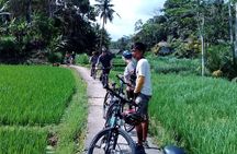 Bali Countryside Cycling Adventure