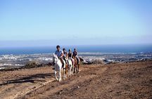The Best Horse Riding Experience in Gran Canaria (2 hours)