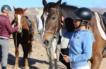 The Best Horse Riding Experience in Gran Canaria (2 hours)