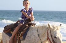 Cabo White Sand Horseback Riding Tour and Tequila Tasting 