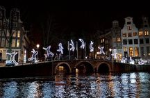 Light Festival Tour by Sebi Boat Tours